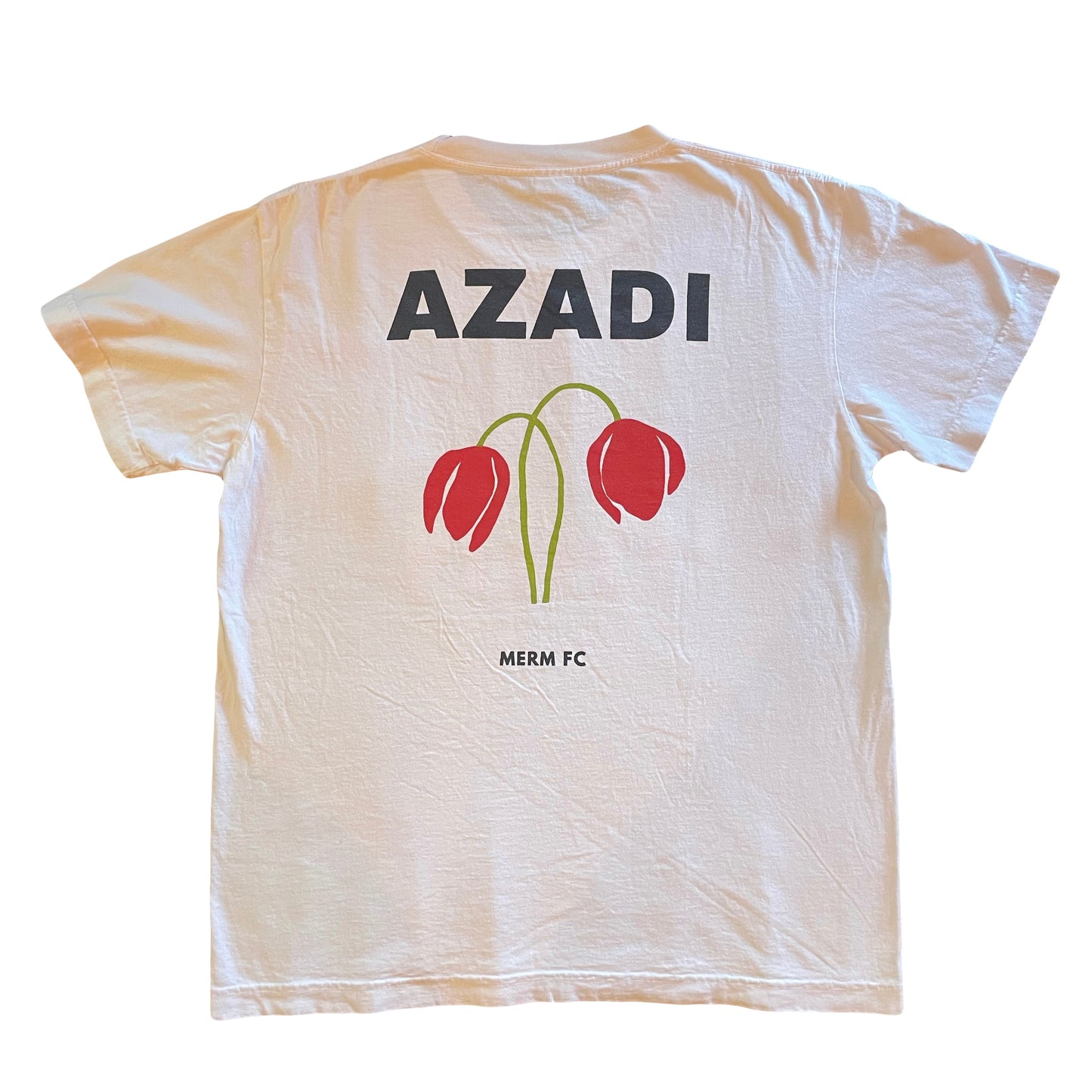 2026 TEAM MELLI JERZTEE (REGULAR)